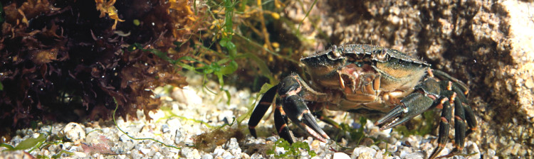 13 ore pentru viață | ep. 2