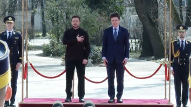 Screenshot 2026-03-12 at 13.33.11