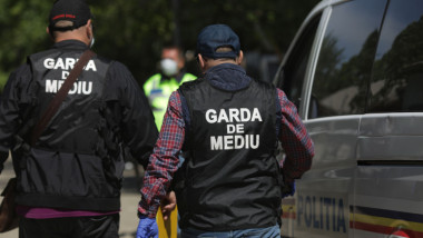garda de mediu inquam octavganea