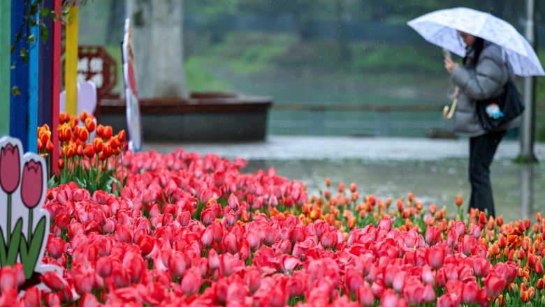Vreme capricioasă în România: temperaturile cresc, dar vin ploile. Meteorolog: Va avea un caracter pronunțat de schimbare
