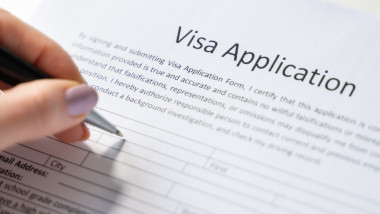Digital Visa Application: Embassy Form Fill