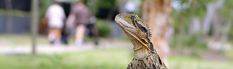 Camera de gardă a sălbăticiei | s3 ep. 2