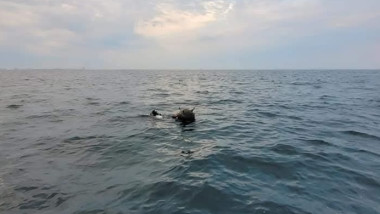 mina marina foto mapn