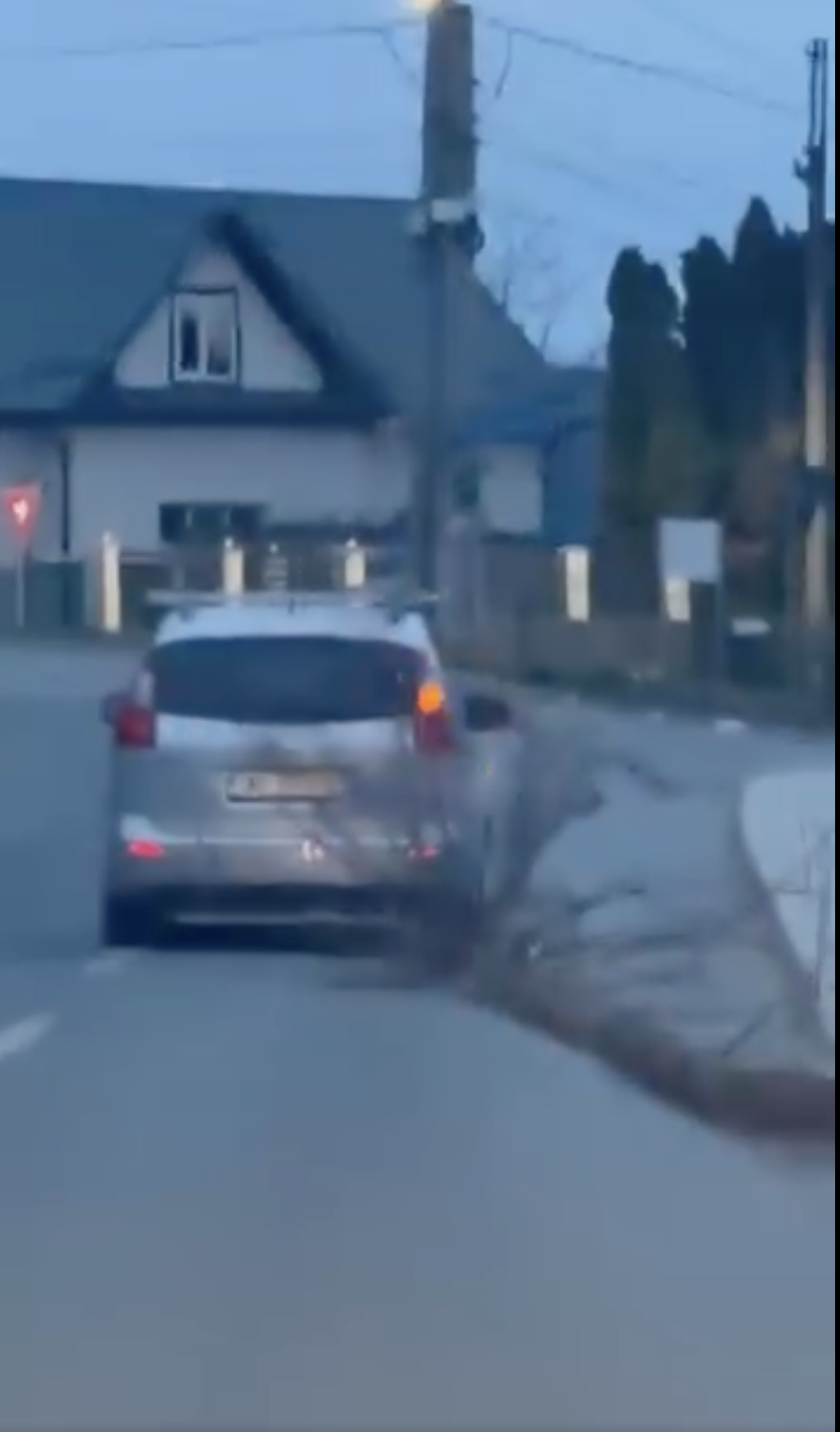 Șofer din Bistrița, surprins în timp ce târa un trunchi de copac de 16 metri pe carosabil