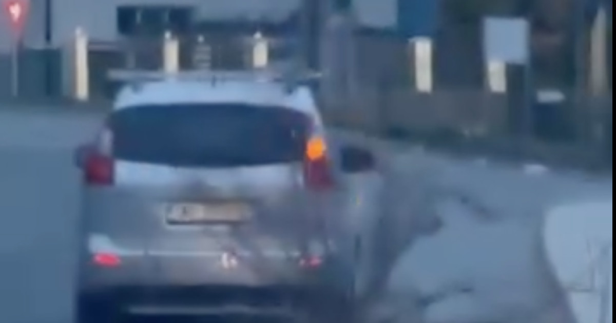 Șofer din Bistrița, surprins târând un trunchi de copac
