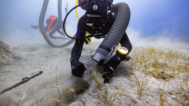 partenon descoperire