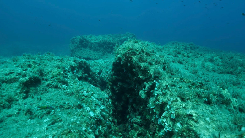 School of fish swims above crack in the seabed over tectonic plates. Tiktanic displacement of plates at the bottom of the sea. Mediterranean underwate