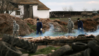 profimedia-0030912095