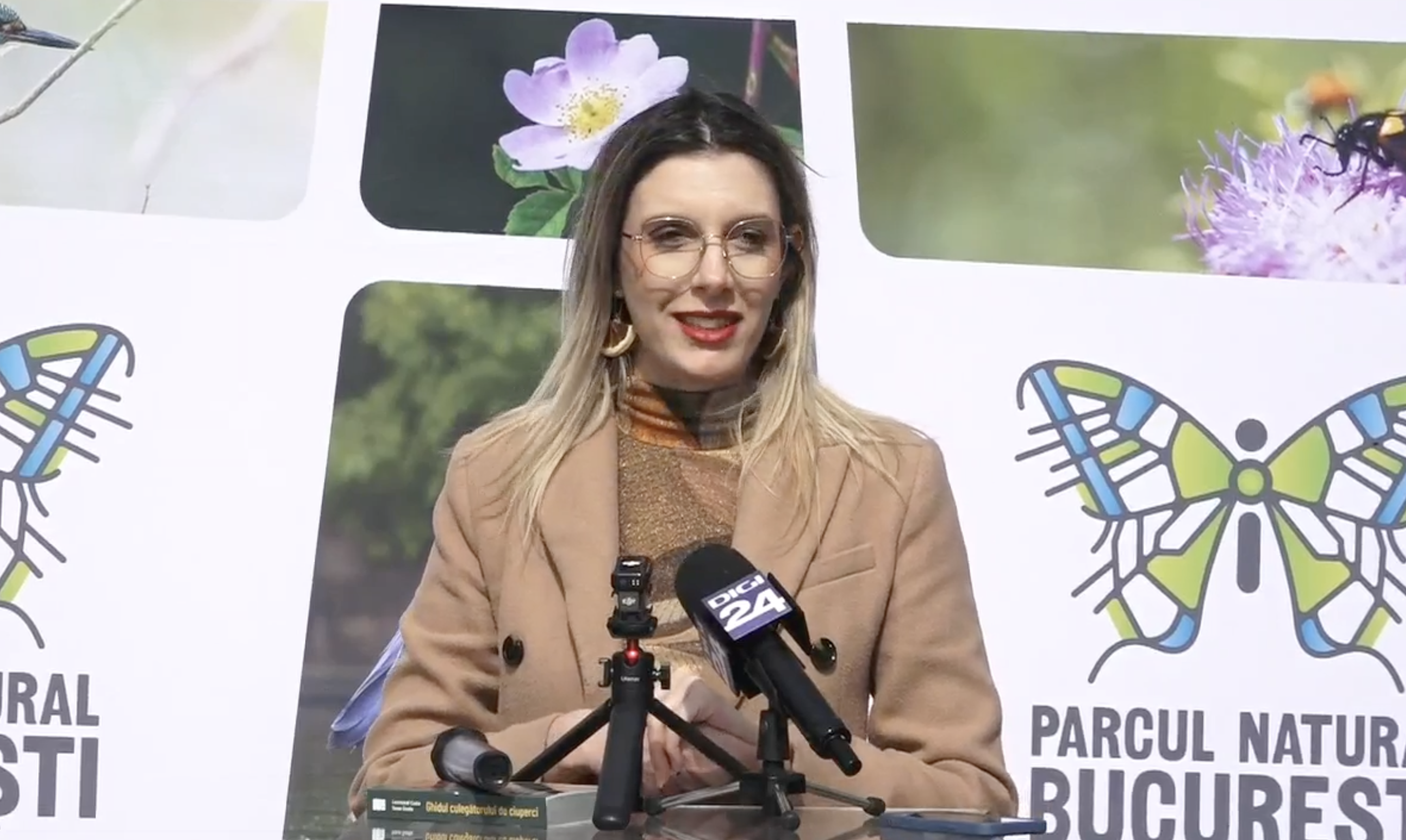 Diana Buzoianu: Pădurea Băneasa poate fi parc natural, arie protejată. Când vom avea documentele, Ministerul Mediului va face acest pas
