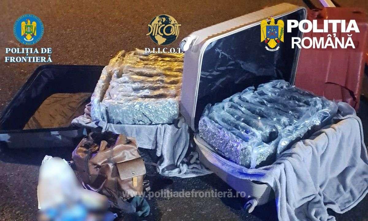 Aproape 31 de kilograme de canabis, descoperite la Nădlac: un italian a fost arestat preventiv