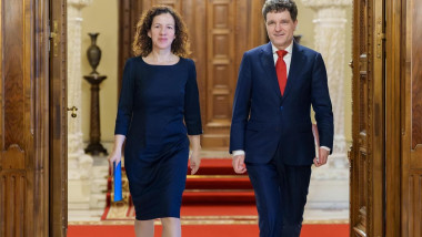 roxana minzatu nicusor dan