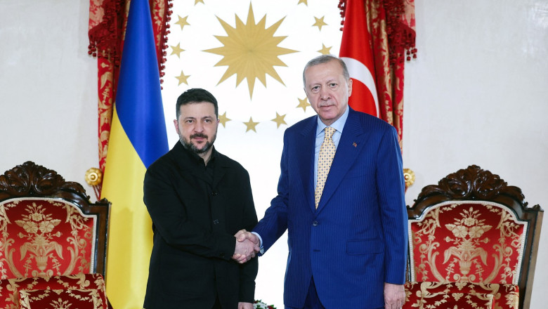 Volodimir Zelenski și Recep Tayyip Erdogan, la Istanbul