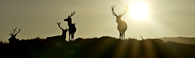 Scoția: Un an sălbatic | ep. 1