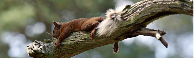 Scoția: Un an sălbatic | ep. 2