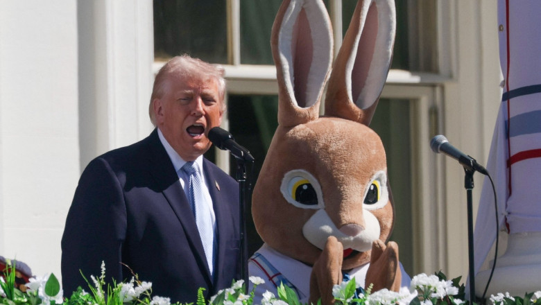 sonals trump cu iepurele