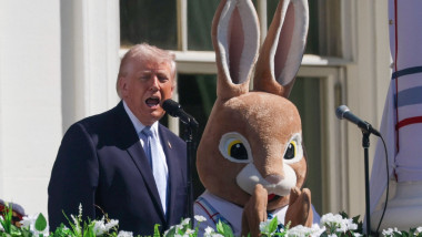 sonals trump cu iepurele