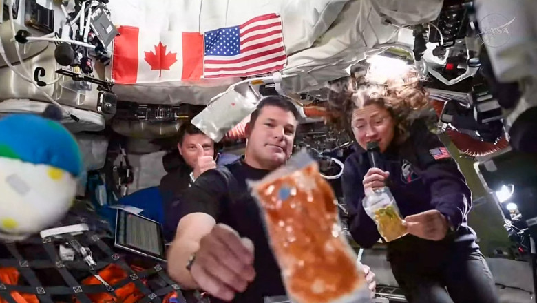 mancare in capsula artemis 2