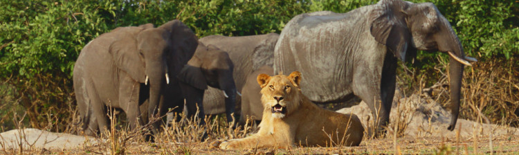 Regulile grupului | ep. 2