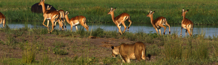 Regulile grupului | ep. 3