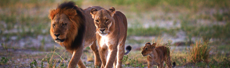 Regulile grupului | ep. 4