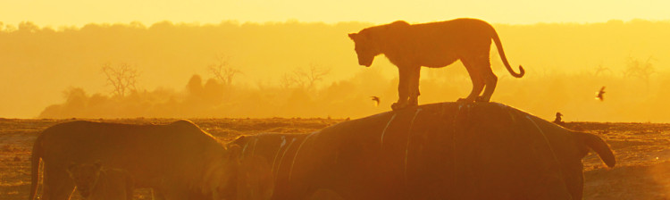 Regulile grupului | ep. 5