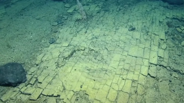 Screenshot 2026-04-09 153734