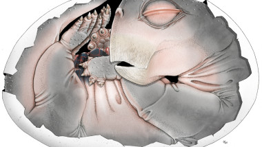 journal.pone.0345016.g001