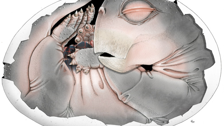 journal.pone.0345016.g001