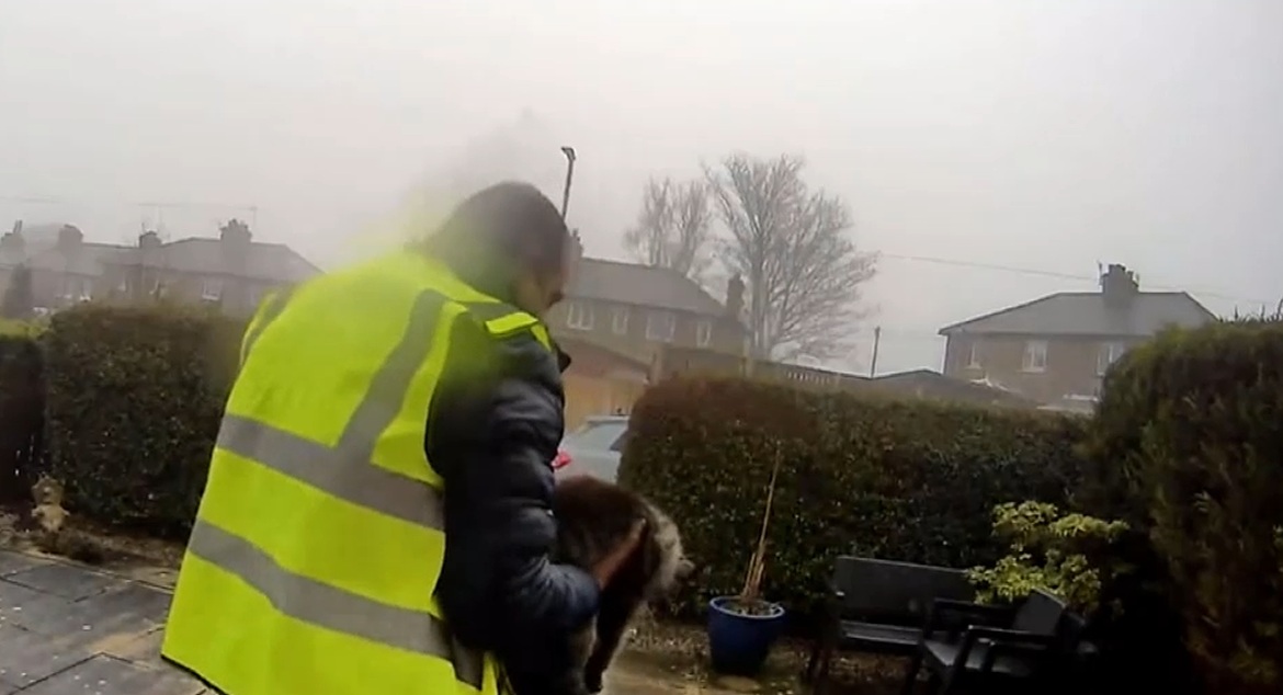 Un român din Marea Britanie riscă să stea cinci ani în închisoare pentru că a furat o pisică