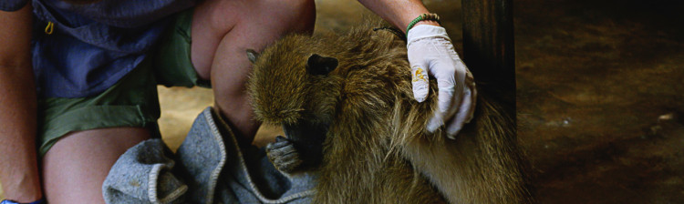 În ajutorul sǎlbǎticiei: Malawi | s2 ep. 1