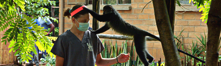 În ajutorul sǎlbǎticiei: Malawi | s2 ep. 6