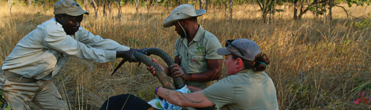 În ajutorul sǎlbǎticiei: Malawi | s2 ep. 4