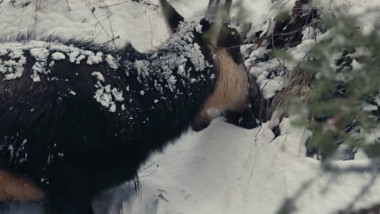 Screenshot 2026-04-02 at 21.22.40