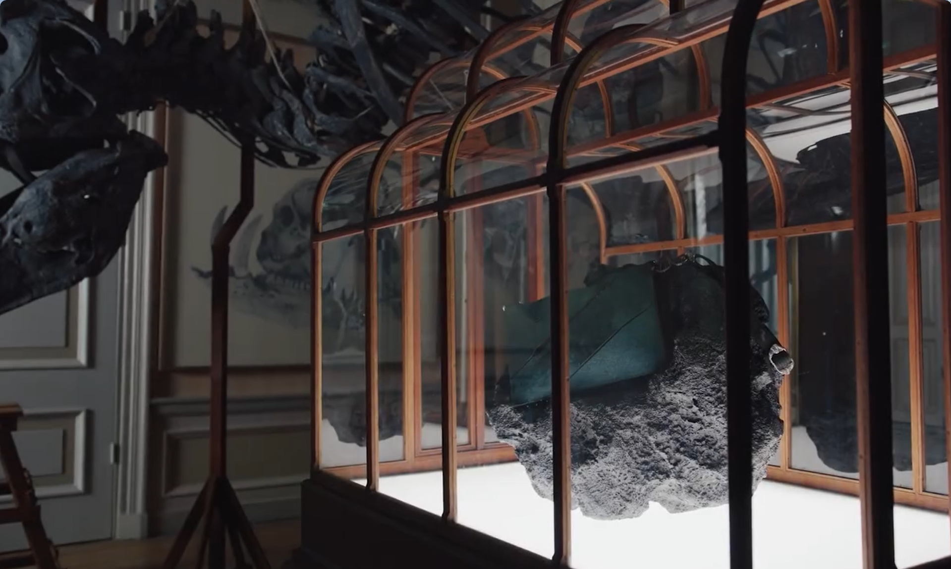 O geantă de mână făcută din colagen derivat din fosile de dinozaur va fi scoasă la licitație pentru jumătate de milion de dolari