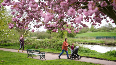 oameni mergand in parc si un copac inflorit