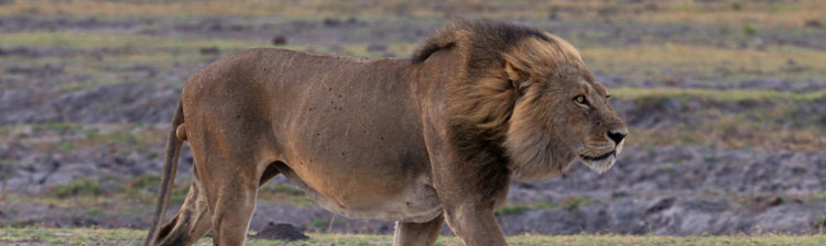 Regulile grupului | ep. 1