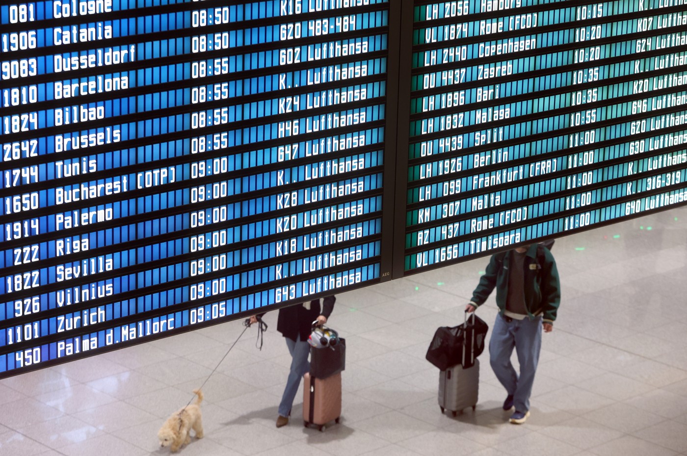 Greva piloților Lufthansa blochează sute de zboruri în Germania, afectând aeroporturile Frankfurt și Munchen