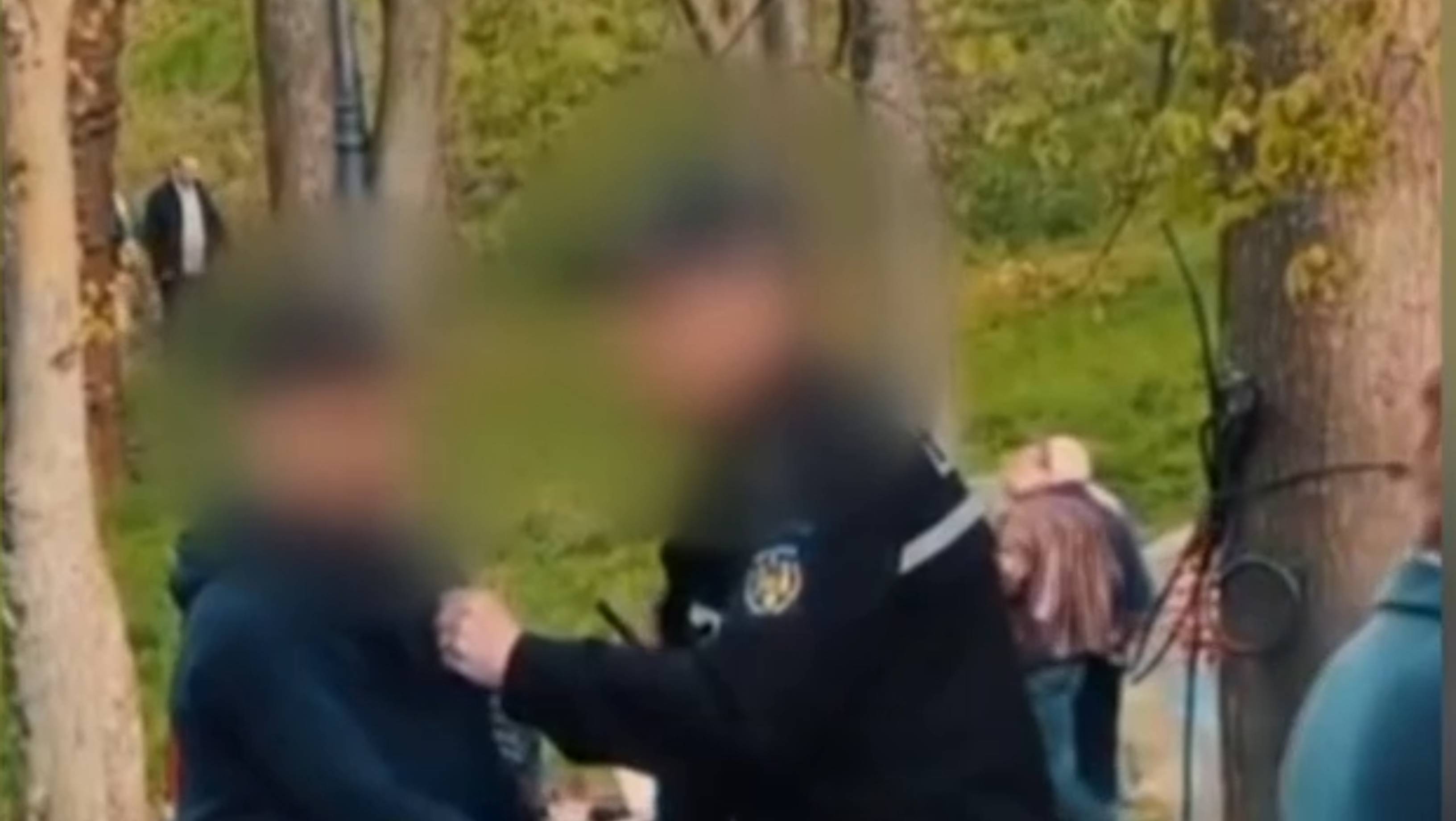 Motivul pentru care un polițist local din Craiova a bruscat un copil în parc. Agentul este cercetat disciplinar