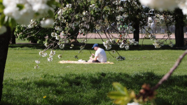 barbat sta pe patura i n parc primavara la soare cu copaci infloriti