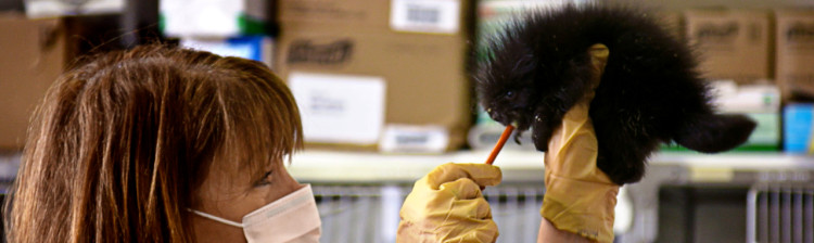 Speranță pentru natura sălbatică | ep. 1