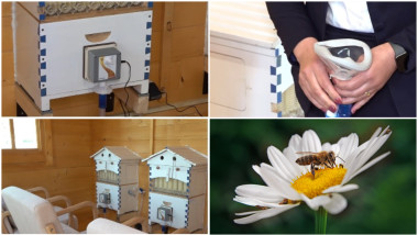 apiterapie timisoara