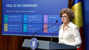 oana gheorghiu la guvern, declaratii de presa