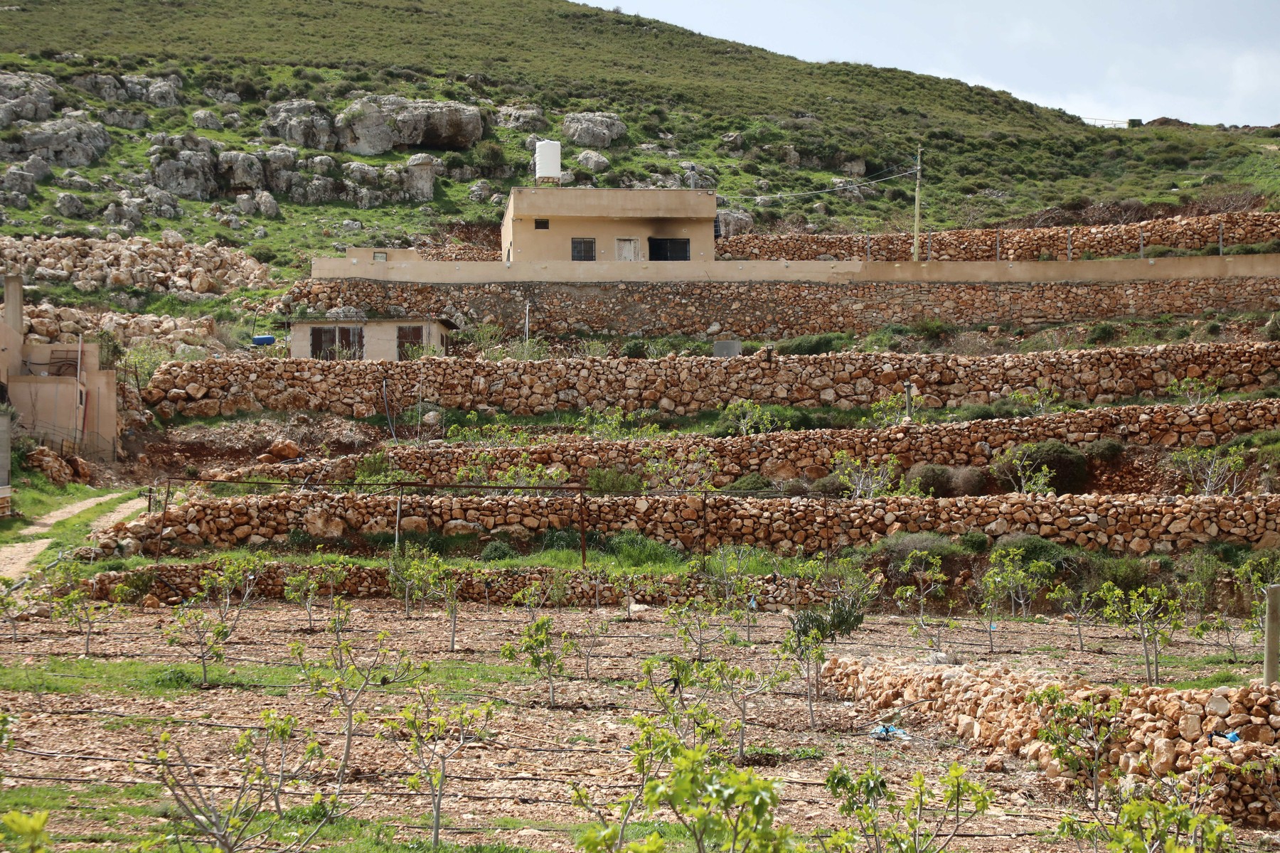 Israelul va crea 34 de noi colonii în Cisiordania ocupată, conform unei decizii luate în secret la începutul lui aprilie