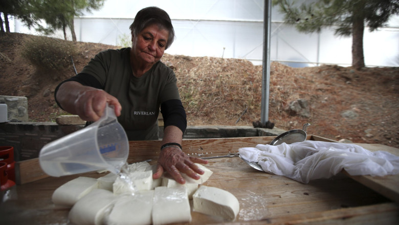 Cyprus Halloumi Heritage