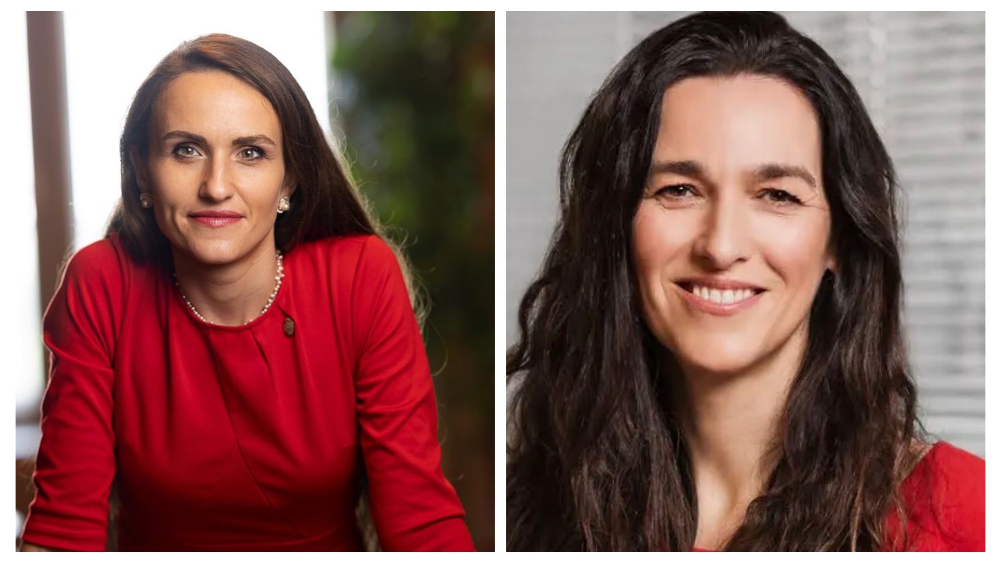 Oana Țoiu, discuții cu noul ministru de Externe din Ungaria despre o nouă abordare a politicii maghiare