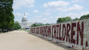 Ursuleți Washington