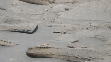 photo-collage.png - 2026-04-24T153634.989