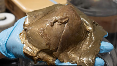 gloden blob glob de aur