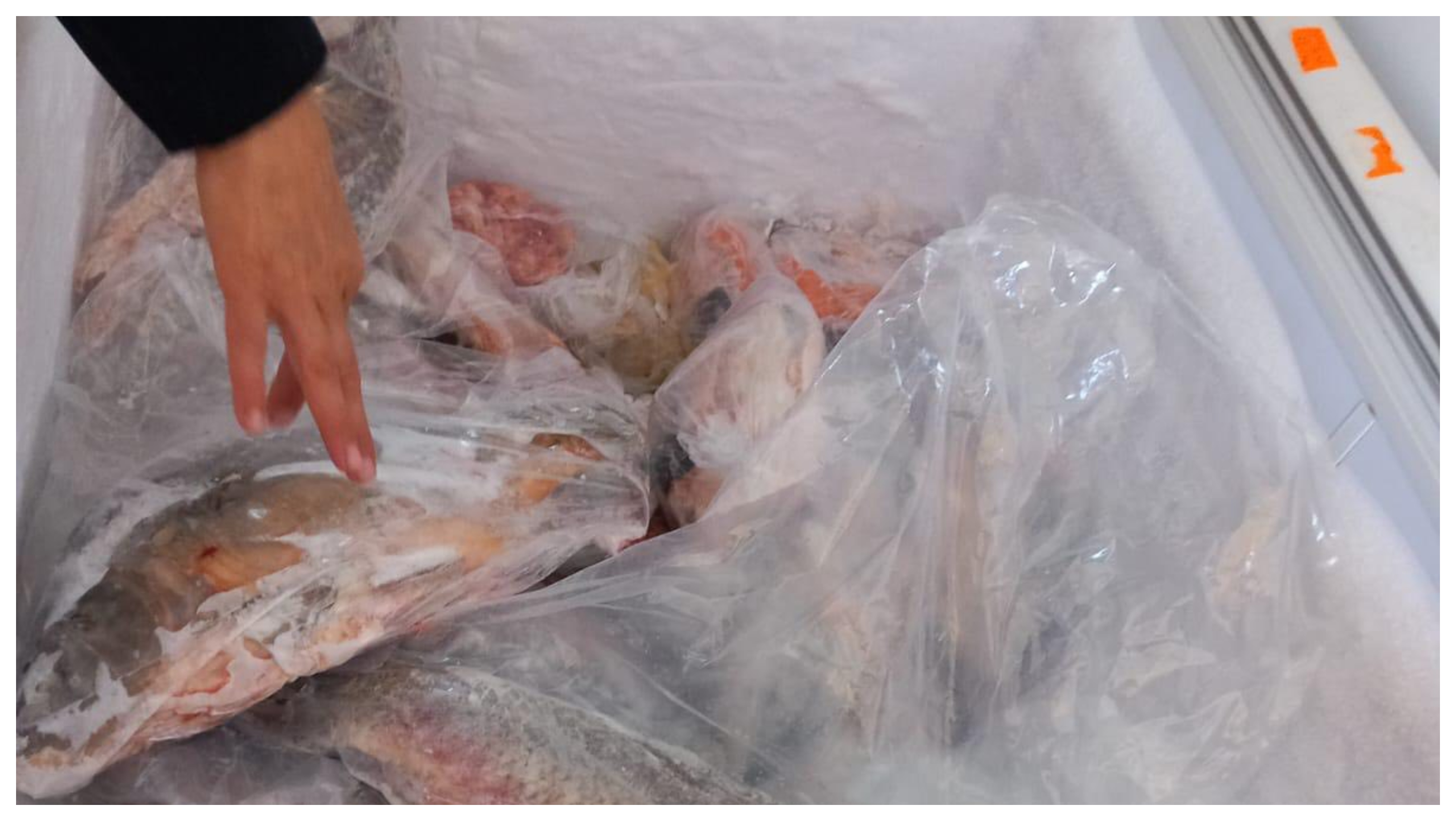 ANPC, amenzi de peste 4 milioane de lei la comercianți de pește. Comisarii au descoperit marfă alterată și condiții insalubre