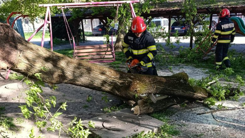 Vântul a făcut ravagii în țară: un mort, peste 100 de copaci căzuți și sute de intervenții. Care sunt județele cele mai afectate